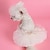 Χαμηλού Κόστους Ρούχα για σκύλους-ρούχα σκύλου με βούρτσα μπάνιου σκύλου νυφικά κατοικίδια νυφικές φούστες γάμος bixiong vip πριγκίπισσα στυλ γάτα νυφικό