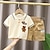 cheap Sets-Boys&#039; Summer Clothing Children&#039;s Short sleeved Set Summer New Children&#039;s Boys and Babies Fashion Stripe Polo Shirt Two piece Set Trendy