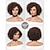 billige Parykker av topp kvalitet-Syntetiske parykker Afro Kinky Bobfrisyre Parykk 10 tommer (ca. 25cm) Mørkebrun Syntetisk hår Dame Mørkebrun
