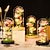 ieftine Lumini decorative-simulare cadouri flori de trandafir lumina de noapte capac de sticlă alimentat cu baterie floare eternă buchet uscat ziua îndrăgostiților ziua mamei cadou creativ decorare petrecere de nuntă