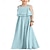 cheap Party Dresses-Flower Girl Dress Girls for Wedding Birthday Party Pageant Sleeveless Chiffon Kids Tulle Maxi Daily Girls Dresses