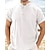 preiswerte Baumwoll-Leinenhemd-Herren Hemd leinenhemd Hemd aus Baumwollleinen Lässiges Hemd Schwarz Weiß Braun Kurzarm Glatt Stehkragen Sommer Hawaiianisch Festtage Bekleidung