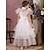 Χαμηλού Κόστους Φορέματα για πάρτι-Παιδιά Κοριτσίστικα Φόρεμα Συμπαγές Χρώμα Αμάνικο Επέτειος Μοντέρνα Πολυεστέρας Καλοκαίρι Άνοιξη Φθινόπωρο 4-13 χρόνια Μαύρο Λευκό Βυσσινί