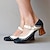 cheap Women&#039;s Sandals-Women&#039;s Pumps Sandals Mary Jane Plus Size Outdoor Daily Chunky Heel Round Toe Elegant Vintage Faux Leather Ankle Strap Light Brown Black Dark Blue