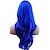 preiswerte Kostümperücke-Modische Perücken, langes, gewelltes, lockiges Haar, Cosplay-Perücke, Perückenkappe, blau, 70 cm