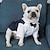 tanie Ubrania dla psów-ślubny garnitur dla psa ślubna dekoracja dla psa ubranka dla psa chłopiec przystojny uroczy uroczy miś corgi pomorski