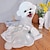 Χαμηλού Κόστους Ρούχα για σκύλους-καινούργια ρούχα για κατοικίδια μικρός σκύλος teddy σκύλος νυφικό pomeranian αρκουδάκια λεπτή φούστα γάτα φούστα πριγκίπισσα