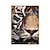 Недорогие Картины с животными-Картина маслом ручной работы, холст, настенное художественное украшение, абстрактное животное, тигр, для домашнего декора, прокатная бескаркасная нерастянутая картина