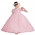 tanie Sukienki imprezowe-Sukienka dla dziewczynki z kwiatami korowód tiulowa druhna formalne fantazyjne sukienki na bal balowy maluch/dzieci/junior