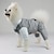 abordables Vêtements &amp; accessoires-Chien Chat Costume / Tailleur Mode Soirée Hiver Respirable Doux Lavable Confortable Extérieur Casual Quotidien Vêtements pour chiens for Bichon Frisé Loulou de Poméranie Bébé Animal Papillon Small