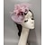 ieftine Pălării &amp; Fascinatoare-Palarioare Veșminte de cap Accesoriu de Păr Net Pălărie din voal Nuntă Ziua Doamnelor Cu Funde Floral Diadema Articole Pentru Cap
