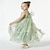 Χαμηλού Κόστους Φορέματα για πάρτι-Παιδιά Κοριτσίστικα Φόρεμα για πάρτυ Λουλούδι Αμάνικο Επέτειος Ειδική Περίσταση Γενέθλια Μοντέρνα Λατρευτός Καθημερινά Πολυεστέρας Καλοκαίρι Άνοιξη 2-12 χρόνια Πράσινο του τριφυλλιού