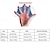 Χαμηλού Κόστους Εξωτερικά ζωντανά αντικείμενα-2 τμχ άντρες γυναίκες παιδική πισίνα σιλικόνης αθλητική επαγγελματική προπόνηση κολύμβηση πτερύγια χεριού με μισό δάχτυλο γάντια κουπιά εξοπλισμός