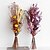 cheap Mr &amp; Mrs Wedding-Dried Flower Bouquets Are Hot Selling Cross-border Real Flower Wholesale Diy Decorative Ornaments Sky Stars Pine Cones Mixed Bouquets Dried Flowers