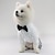 olcso Kutyaruházat-új kisállat ing nadrág öltöny négylábú kutya esküvői ruhák macska esküvői ruhák butik kisállat ruhák