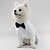 abordables Vêtements &amp; accessoires-Chien Chat Costume / Tailleur Mode Soirée Hiver Respirable Doux Lavable Confortable Extérieur Casual Quotidien Vêtements pour chiens for Bichon Frisé Loulou de Poméranie Bébé Animal Papillon Small
