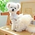 cheap Dog Clothes-Pet Circle Dog Cat And Cat Clothing Fluffy Gauze Skirt Chest And Back Formal Dress Wedding Dress Collection
