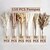 cheap Down to $30-110 pcs Pampas With White Dried Rabbit Tail Flowers Boho Style Decoration Pampas Grass Bathroom Decoration Bathroom Wall Decor Wedding Vase For Bride And Bridesmaids Living Room Decoration Party Decor