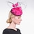 cheap Fascinators-Handmade Headbands Fascinators Hats Sinamay Pillbox Hat Top Hat Wedding Tea Party Wedding British With Feather Floral Headpiece Headwear