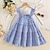 Χαμηλού Κόστους Φορέματα-Παιδιά Κοριτσίστικα Φόρεμα Καρό Αμάνικο Σχολείο Επίσημο Επίδοση Μοντέρνα χαριτωμένο στυλ Πολυεστέρας Καλοκαίρι Άνοιξη 2-13 χρόνια Μπλε Καρό