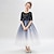 cheap Party Dresses-Kids Girls&#039; Party Dress Galaxy Long Sleeve Formal Performance Anniversary Fashion Adorable Princess Cotton Flower Girl&#039;s Dress Summer Spring Fall 2-13 Years Black short style Navy V-neck mid-sleeve