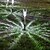 voordelige Buitenmuurverlichting-12 stuks led-tuinverlichting op zonne-energie buiten waterdichte led roestvrijstalen gazonlamp villa achtertuin park loopbrug landschap decor licht