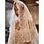 Недорогие Свадебные вуали-Один слой Винтажная коллекция Свадебные вуали Фата до локтя с Вышивка 55,12 В (140см) Кружева