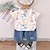 preiswerte Sets-2 Stück Baby Jungen T-Shirt &amp; Shorts Outfit Graphic Kurzarm Set Outdoor Modisch Sommer Frühling 1-3 Jahre alt Weiß Marineblau Grün
