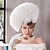 abordables Sombreros de fiesta-Diademas sombreros sombreros sinamay sombrero de copa velo sombrero boda fiesta de té elegante retro con empalme tocado de tul