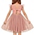 tanie Sukienki imprezowe-Sukienka tutu dla małych dziewczynek letnia tiulowa sukienka bez pleców na urodziny, bawełniane sukienki 2-6 lat