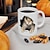 abordables Tazas-Taza de café con diseño de gatitos con impresión 3D, taza de café de cerámica con diseño de gato, taza de café con diseño de gato, taza de café con diseño de gato, taza de cerámica blanca, regalos para hombres y mujeres