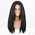 cheap Costume Wigs-Pirate Wig for Adults Cosplay Party Wigs