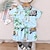 billige Sett-2 deler Baby Gutt T-skjorter og shorts Antrekk Grafisk Kortermet Sett utendørs Mote Sommer Vår 1-3 år gammel Gul Navyblå Himmelblå