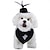 economico Vestiti-Cane Gatto Abito da sposa Carino Casual Inverno Traspirante Morbido Lavabile Confortevole All&#039;aperto Ricevimento di matrimonio Casual Quotidiano Abbigliamento per Cani for Bichon Frisé Volpino di