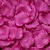 economico Il signor e la signora matrimonio-10 confezioni di petali di rosa, petali simulati, petali di nozze, petali finti per matrimonio/matrimonio