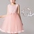 Недорогие Дети-детское платье для девочек, однотонное, с цветочным принтом, без рукавов, вечернее, повседневное, кружевное, многослойное, милое, милое, в сеточку, кружевное, из тюля, розовое платье принцессы для