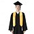 abordables Fournitures pour la maison-Écharpes de remise de diplôme 2024 en plusieurs couleurs – rubans colorés pour la cérémonie de remise des diplômes, ceinture en satin noir pour la classe 2024, accessoires de remise de diplôme,