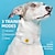 preiswerte Hundetraining-1200ft Hundetrainingshalsband mit Fernbedienung, wasserdicht, wiederaufladbar, Pieptöne, Vibrationsmodus, menschlich, geeignet für kleine, mittelgroße und große Hunde