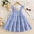 cheap Dresses-Kids Girls&#039; Dress Plaid Sleeveless School Formal Performance Fashion Cute Polyester Summer Spring 2-13 Years Blue plaid