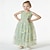Χαμηλού Κόστους Φορέματα για πάρτι-Παιδιά Κοριτσίστικα Φόρεμα για πάρτυ Λουλούδι Αμάνικο Επέτειος Ειδική Περίσταση Γενέθλια Μοντέρνα Λατρευτός Καθημερινά Πολυεστέρας Καλοκαίρι Άνοιξη 2-12 χρόνια Πράσινο του τριφυλλιού
