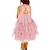 Χαμηλού Κόστους Φορέματα για πάρτι-Παιδιά Κοριτσίστικα Φόρεμα για πάρτυ Συμπαγές Χρώμα Αμάνικο Επέτειος Ειδική Περίσταση Γενέθλια Μοντέρνα Λατρευτός Καθημερινά Πολυεστέρας Καλοκαίρι Άνοιξη Φθινόπωρο 2-12 χρόνια