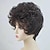 cheap Black &amp; African Wigs-Ladies Wig, Short Fluffy Curly Hair, Natural Heat-Resistant Synthetic Wig, Suitable for Parties, Parties and Daily Use