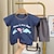 billige Sæt-2 Dele Baby Drenge T-shirt &amp; Shorts Outfit Grafisk Kortærmet Bomuld Sæt udendørs Mode Sommer Forår 1-3 år 25 lyserøde kaniner 21 mørkegrå egern 35 blå elefant