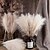 ieftine Nunta domnului si doamna-10 buc ins wind muyu stuf pampas simulare floare decorarea casei transfrontalier nunta floare artificiala