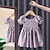 cheap Floral Dresses-Children&#039;s Clothing Girl&#039;s Dress Summer New Floral Chiffon Small Flying Sleeve Suspender Princess Skirt Foreign Style Children&#039;s Dress