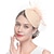 お買い得  ヒストリカル＆ビンテージコスチューム-レトリ／ヴィンテージ 1950年代風 1920年代風 魅惑的な帽子 ベールヘッドバンド 帽子 結婚式 女性用 カーニバル パーティー／フォーマル 帽子