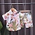 cheap Sets-Children&#039;s Floral Shirt Set For Boys Aged 0-4, Full Print Short Sleeved T-Shirt Two-Piece Set,  Children&#039;s Clothing