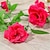 olcso Művirágok és vázák-2db szimulációs rózsa selyem szőlő esküvői dekoráció lakásdekoráció