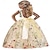 cheap Party Dresses-Wildflower Floral Embroidered Overlay Tulle A-Line Fit Flare V Neckline Back Bow Flower Girl Dress