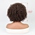 billige Parykker av topp kvalitet-Syntetiske parykker Afro Kinky Bobfrisyre Parykk 10 tommer (ca. 25cm) Mørkebrun Syntetisk hår Dame Mørkebrun